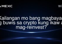 Kailangan mo bang magbayad ng buwis sa crypto kung ikaw ay mag-reinvest?