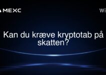Kan du kræve kryptotab på skatten?