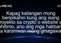 Kapag kailangan mong beripikahin kung ang isang proyekto sa crypto o website ay lehitimo, ano ang mga hakbang na karaniwan mong ginagawa?