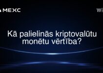 Kā palielinās kriptovalūtu monētu vērtība?