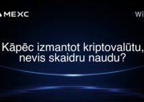 Kāpēc izmantot kriptovalūtu, nevis skaidru naudu?