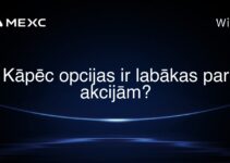 Kāpēc opcijas ir labākas par akcijām?