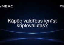 Kāpēc valdības ienīst kriptovalūtas?