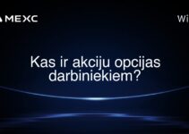 Kas ir akciju opcijas darbiniekiem?