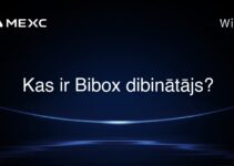 Kas ir Bibox dibinātājs?