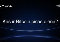 Kas ir Bitcoin picas diena?