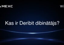 Kas ir Deribit dibinātājs?