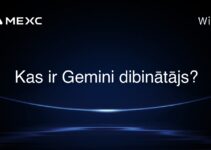 Kas ir Gemini dibinātājs?