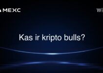 Kas ir kripto bulls?