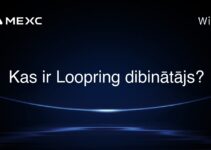 Kas ir Loopring dibinātājs?