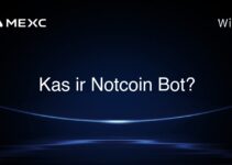 Kas ir Notcoin Bot?