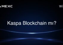 Kaspa Blockchain mı?