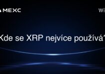 Kde se XRP nejvíce používá?
