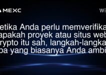 Ketika Anda perlu memverifikasi apakah proyek atau situs web crypto itu sah, langkah-langkah apa yang biasanya Anda ambil?