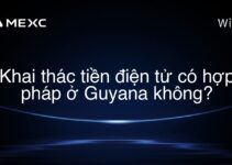 Khai thác tiền điện tử có hợp pháp ở Guyana không?