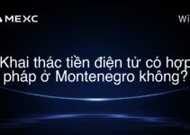 Khai thác tiền điện tử có hợp pháp ở Montenegro không?