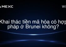 Khai thác tiền mã hóa có hợp pháp ở Brunei không?