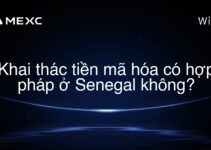 Khai thác tiền mã hóa có hợp pháp ở Senegal không?