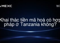 Khai thác tiền mã hoá có hợp pháp ở Tanzania không?