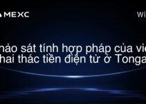 Khảo sát tính hợp pháp của việc khai thác tiền điện tử ở Tonga?