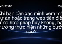 Khi bạn cần xác minh xem một dự án hoặc trang web tiền điện tử có hợp pháp hay không, bạn thường thực hiện những bước nào?