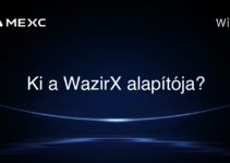 Ki a WazirX alapítója?