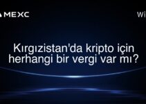 Kırgızistan’da kripto için herhangi bir vergi var mı?