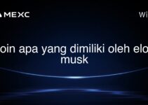 koin apa yang dimiliki oleh elon musk