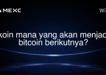 koin mana yang akan menjadi bitcoin berikutnya?