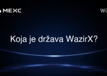Koja je država WazirX?