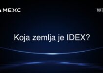 Koja zemlja je IDEX?