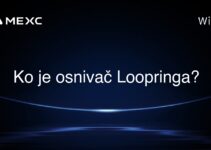 Ko je osnivač Loopringa?