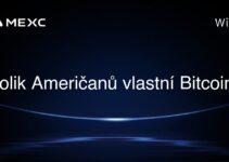 Kolik Američanů vlastní Bitcoin?