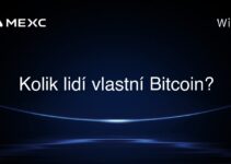 Kolik lidí vlastní Bitcoin?