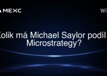 Kolik má Michael Saylor podíl v Microstrategy?