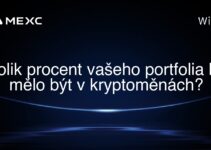 Kolik procent vašeho portfolia by mělo být v kryptoměnách?