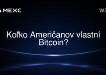 Koľko Američanov vlastní Bitcoin?