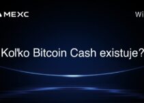 Koľko Bitcoin Cash existuje?