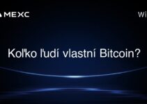 Koľko ľudí vlastní Bitcoin?
