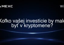 Koľko vašej investície by malo byť v kryptomene?