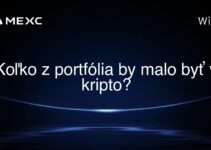 Koľko z portfólia by malo byť v kripto?