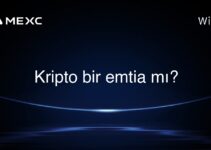 Kripto bir emtia mı?