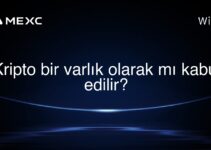 Kripto bir varlık olarak mı kabul edilir?