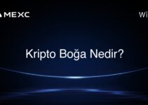 Kripto Boğa Nedir?