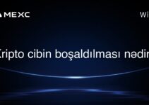 Kripto cibin boşaldılması nədir?