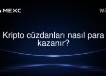 Kripto cüzdanları nasıl para kazanır?