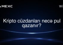 Kripto cüzdanları necə pul qazanır?