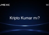 Kripto Kumar mı?