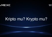 Kripto mu? Krypto mu?