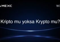 Kripto mu yoksa Krypto mu?